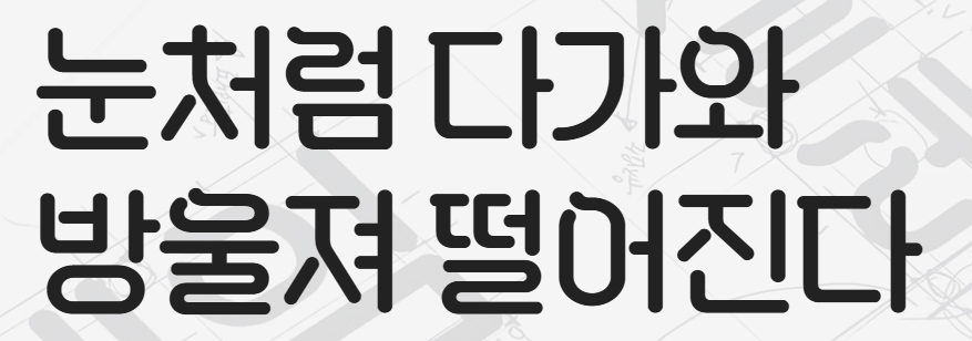 설레임체 미리보기