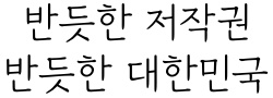 경복궁 수문장 본문체 L 미리보기