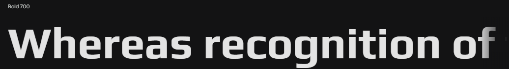 Play_Bold 700 미리보기