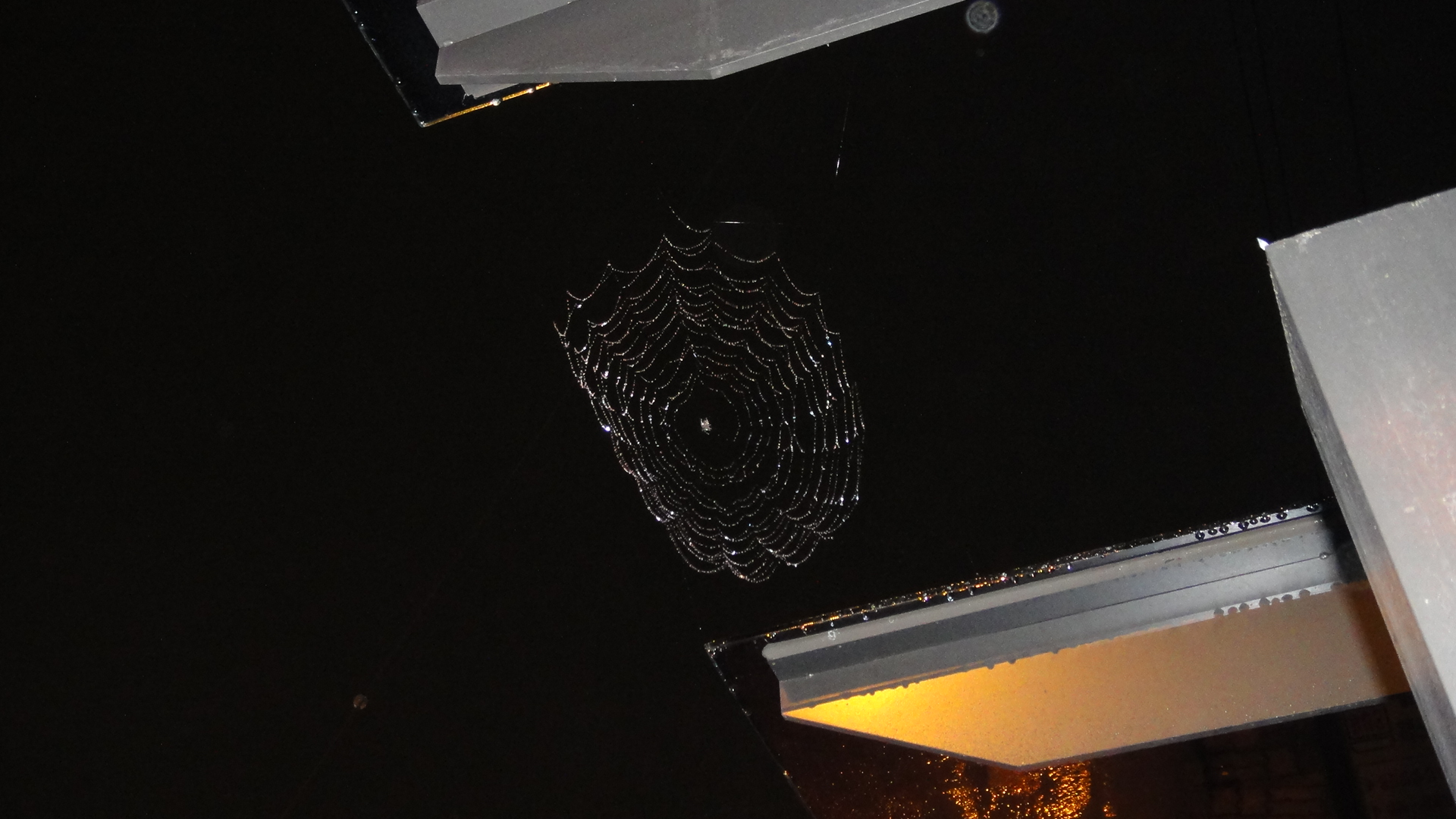 비에젖은 밤하늘의 거미줄_1.JPG 썸네일 0