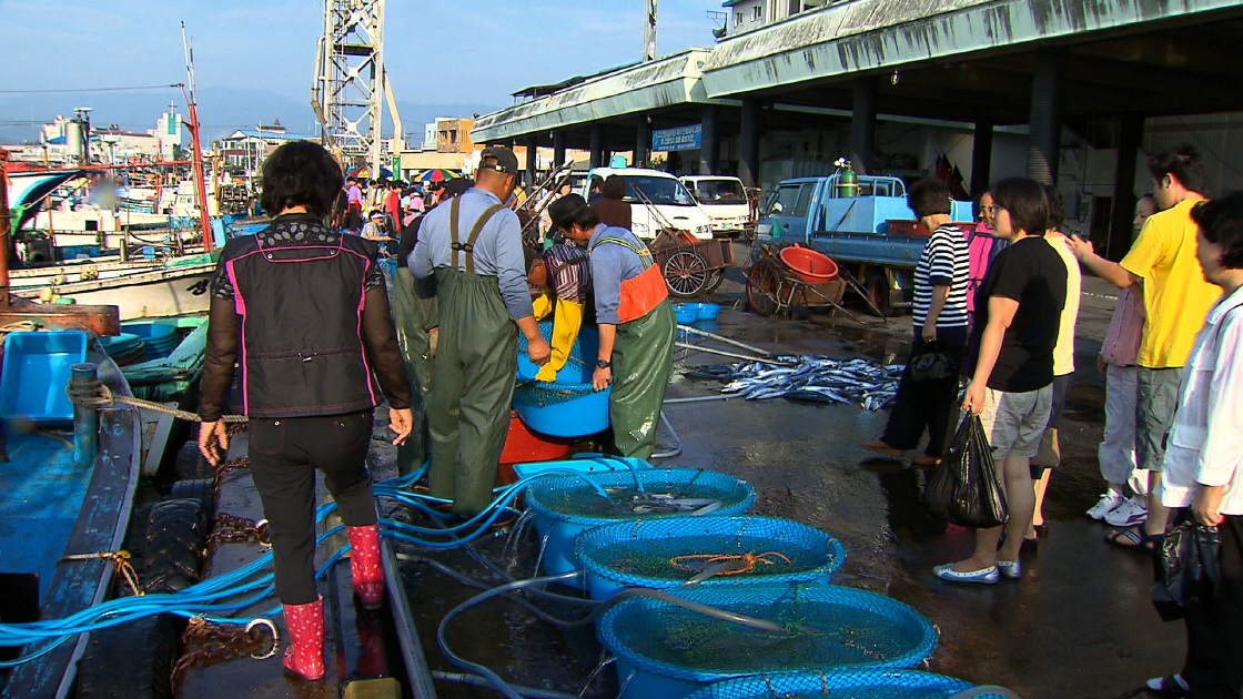 한국_어업_수산시장01 썸네일