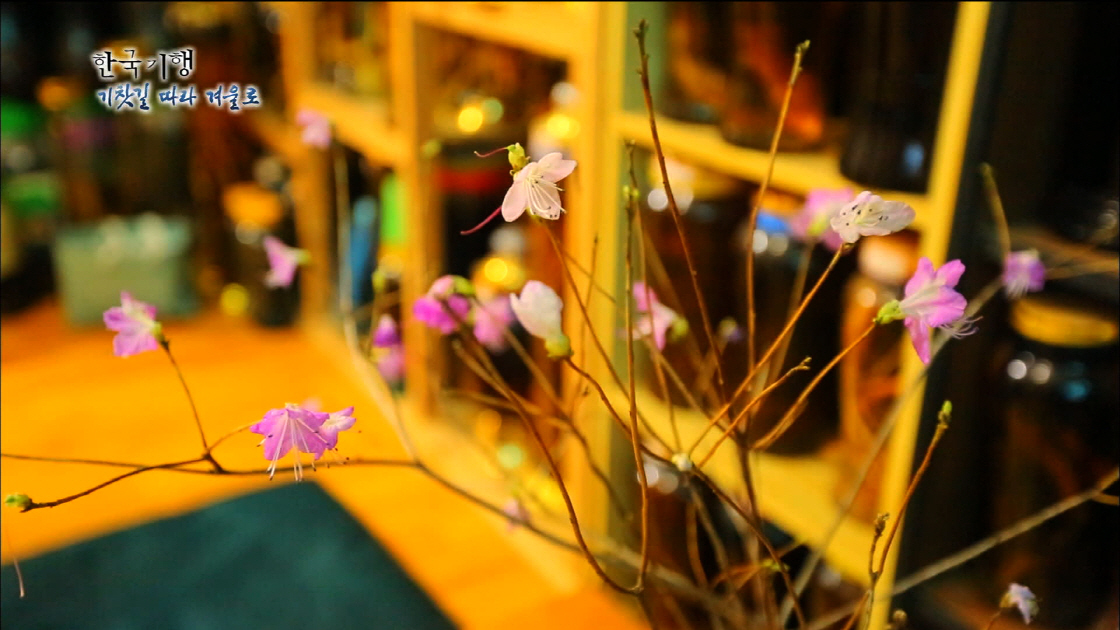 한국기행_기찻길_식물_꽃 썸네일