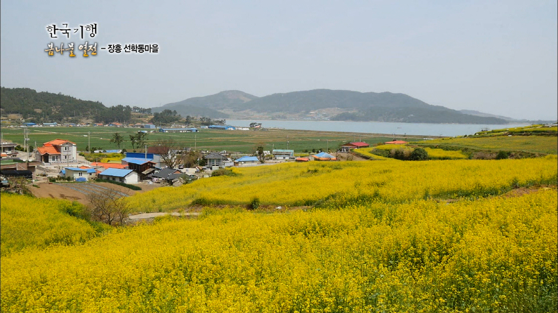 한국기행_나물_풍경_마을02 썸네일