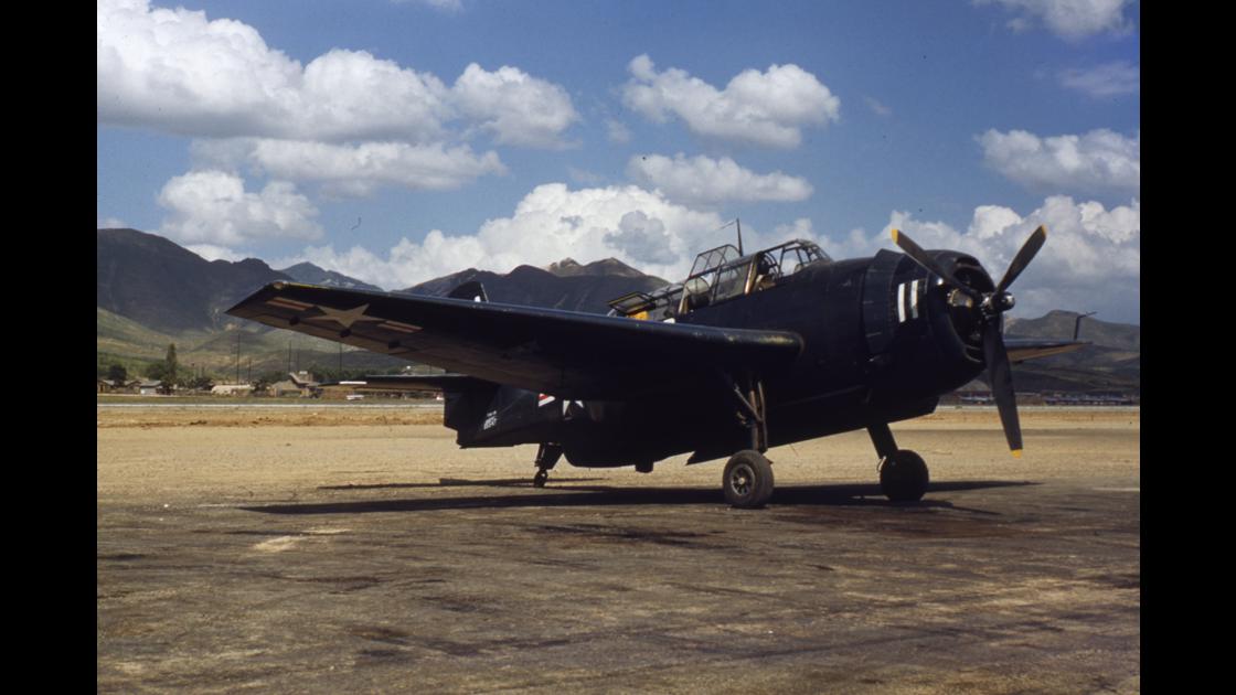 1954년 부산 수영 K-9 비행장의 미 공군 P-40 워호크 머스탱 전투기_1 썸네일
