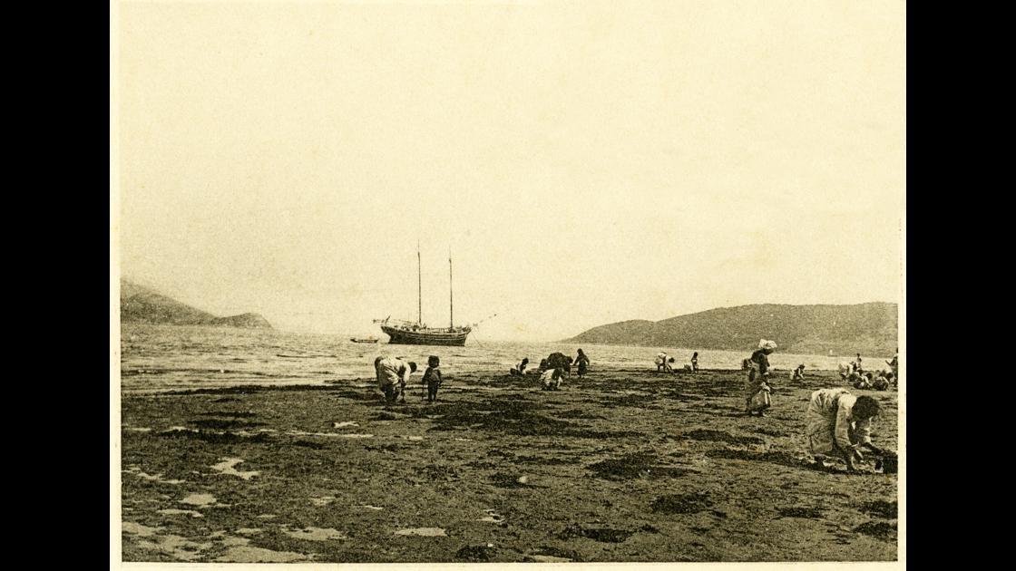 1910년경 마산 해안의 조개를 캐는 사람들 썸네일