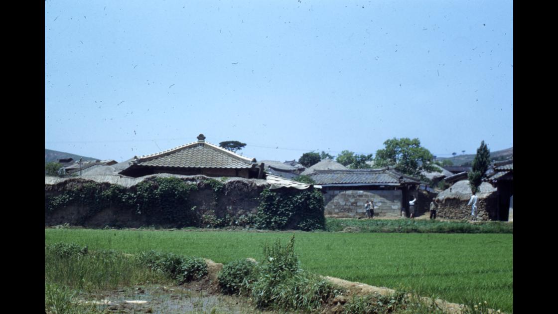 1953년 대구 두류공원 인근 마을과 사람들 썸네일