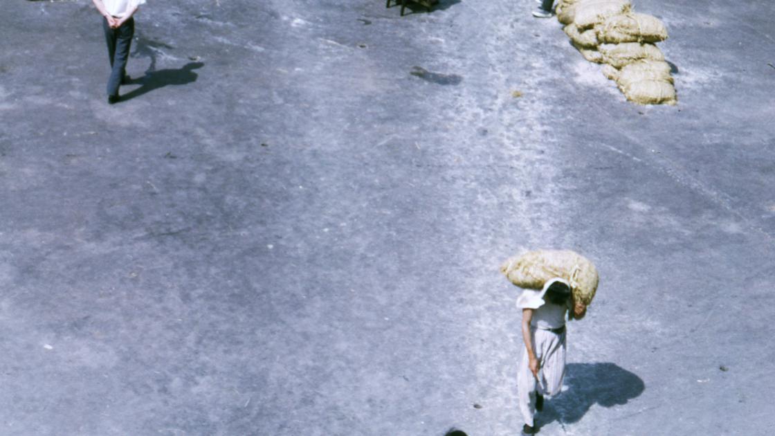 1968년 남해안지방에서 배로 운반해 온 쌀가마니를 어깨에 메고 하역하는 1968년 부산 영도 봉래동 해안의 부두 노무자들_2 썸네일