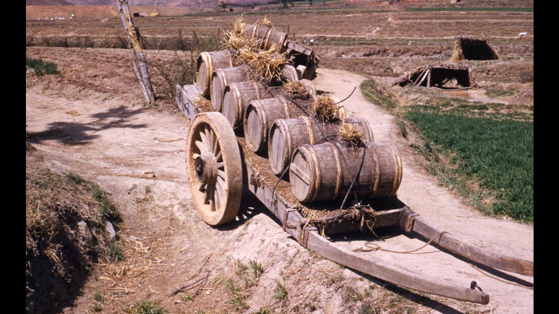 1952년 부산 남구 대연동의 농부 부자가 보리밭에 인분 거름을 주기 위해 장군통을 우마차에 싣고 온 모습 썸네일