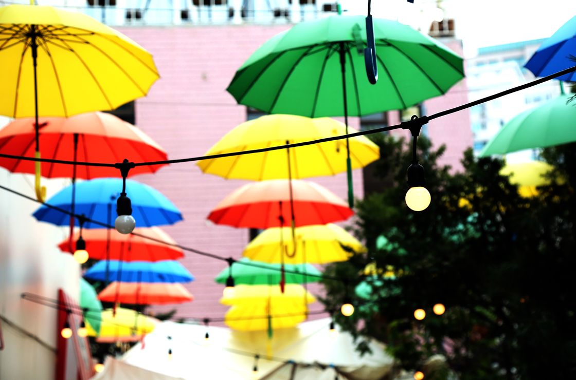 우산 썸네일
