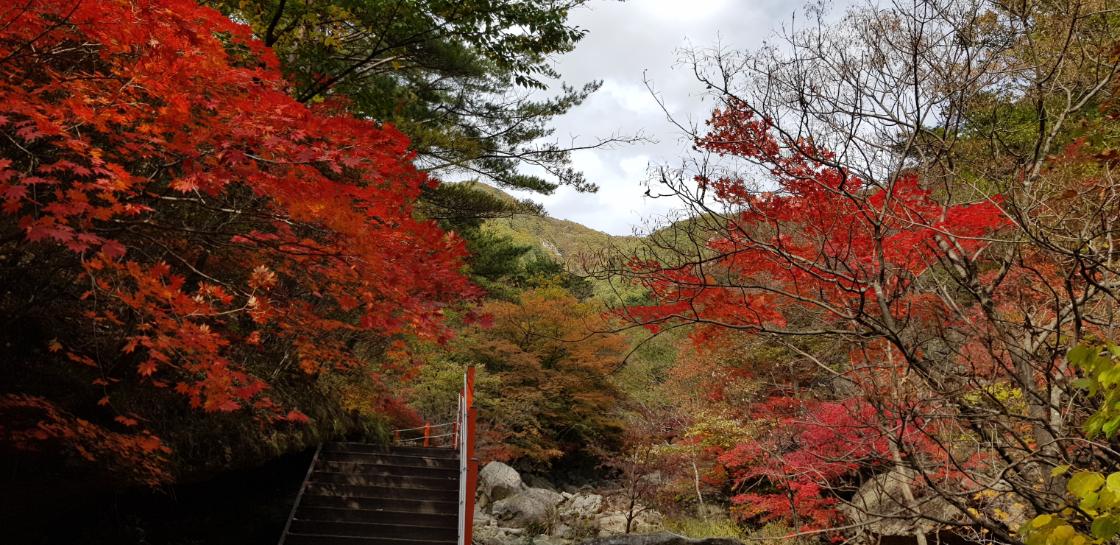 가을 한국 풍경6 썸네일