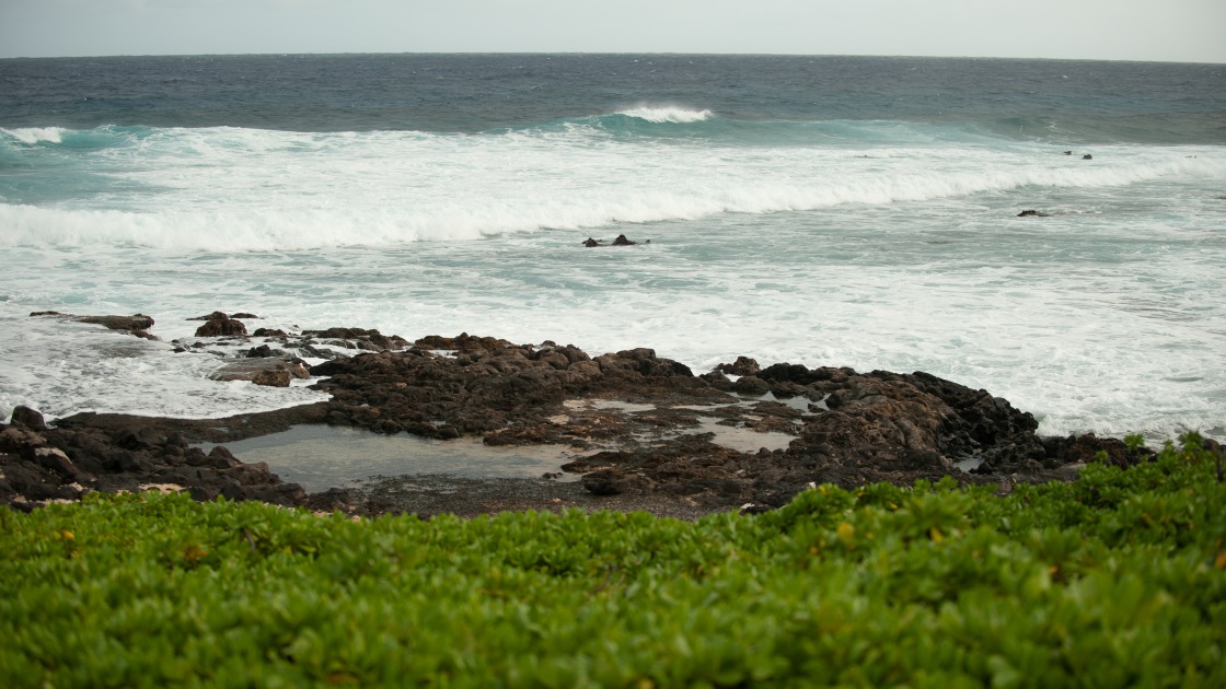 하와이 바다 서핑153 썸네일