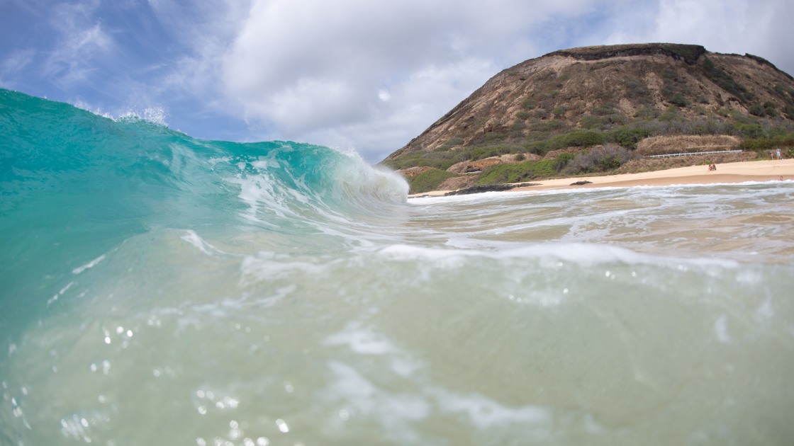 하와이 바다 서핑209 썸네일