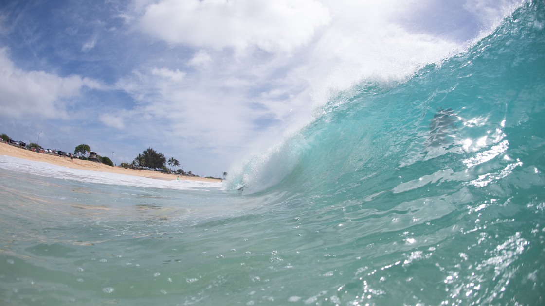 하와이 바다 서핑205 썸네일