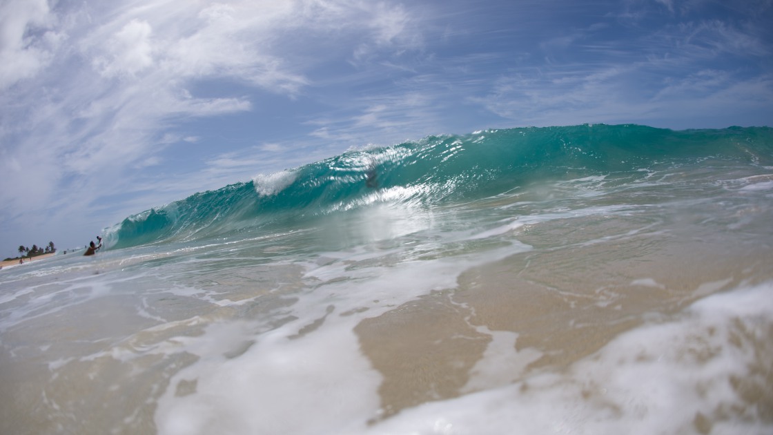 하와이 바다 서핑208 썸네일