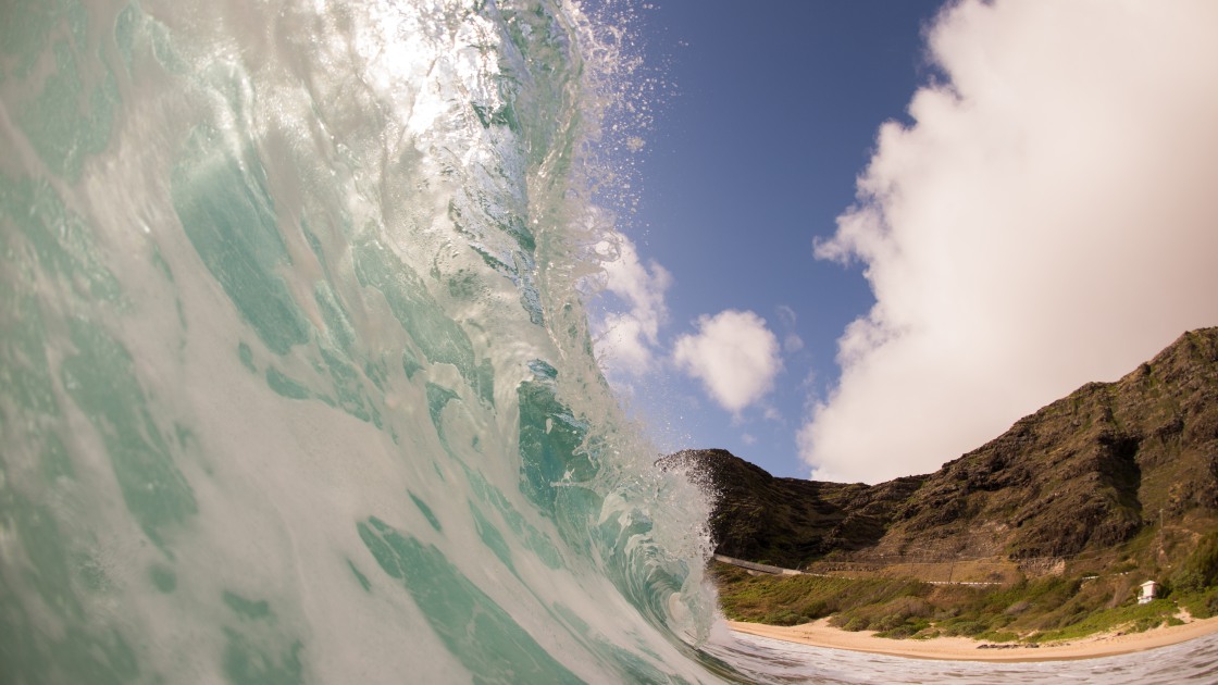 하와이 바다 서핑235 썸네일