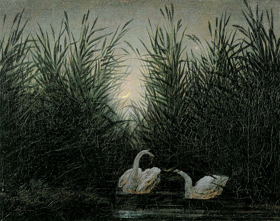 Swans in the Reeds 썸네일