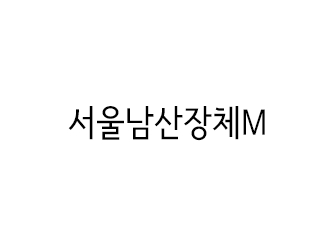 서울남산장체M 썸네일