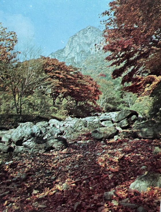 1971년_백암산 계곡 단풍 썸네일