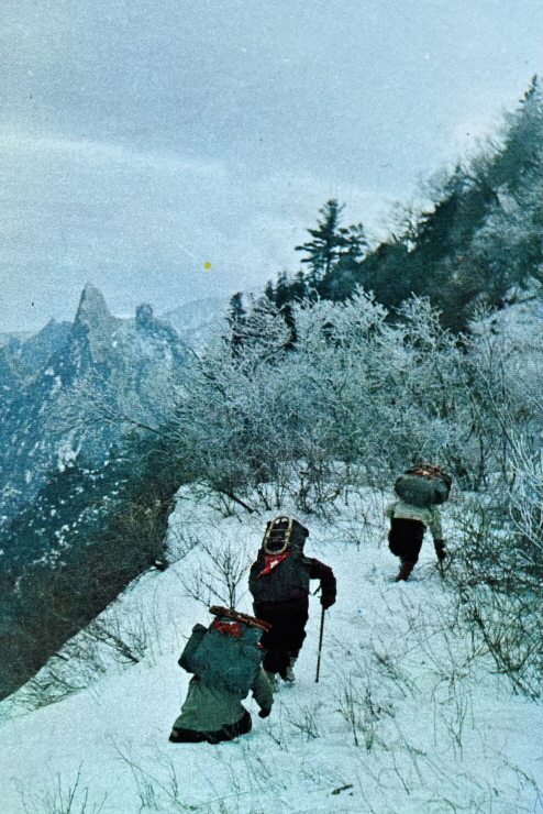 1971년_설악산 겨울등산 등산 썸네일