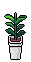 0196_디자인에셋(픽셀아트)_가상공간_꽃,나무,정원_tree_pot_rubber tree 썸네일
