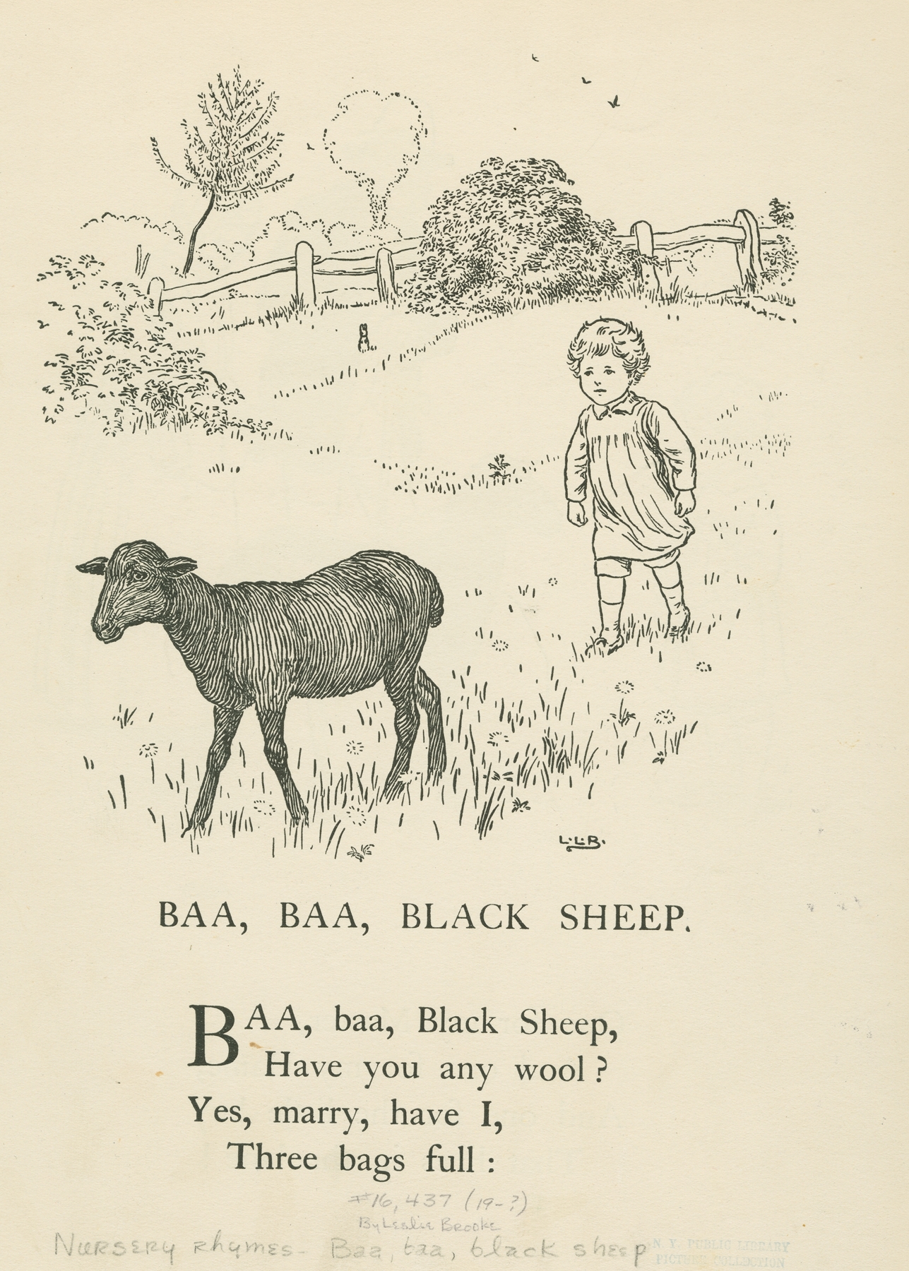 Baa, baa, black sheep. 썸네일