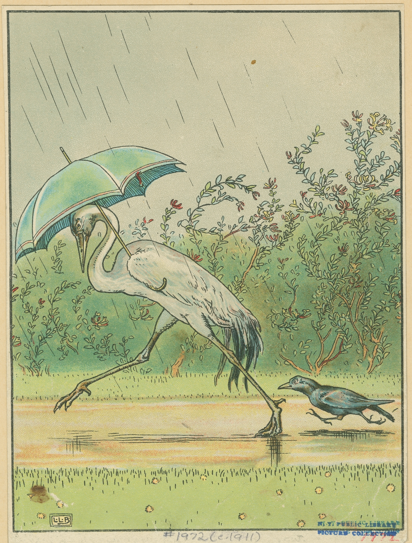 Crane and crow with an umbrella. 썸네일