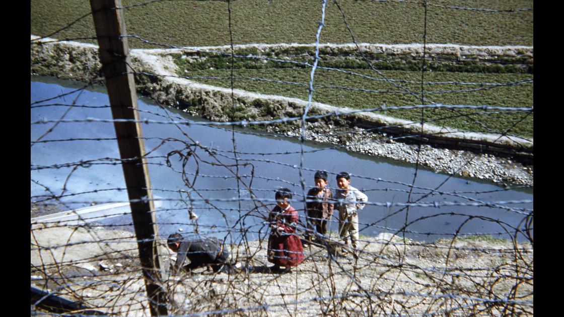 1952년 대구 K-2비행장 외곽 철조망 아래 마을 어린이들 썸네일