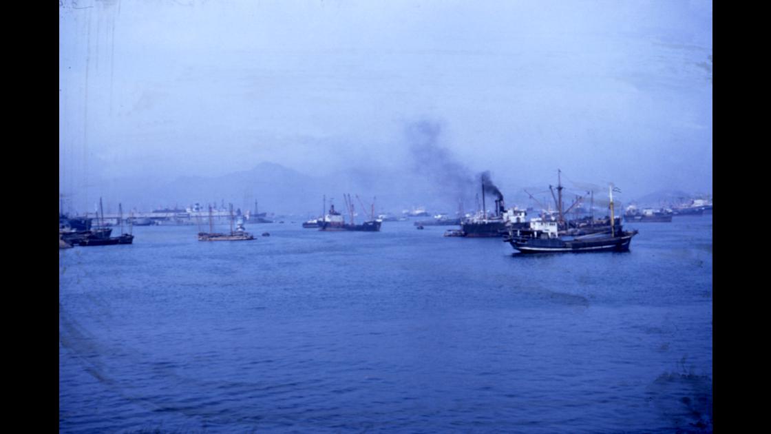 1954년 부산항에 정박중인 선박들 썸네일