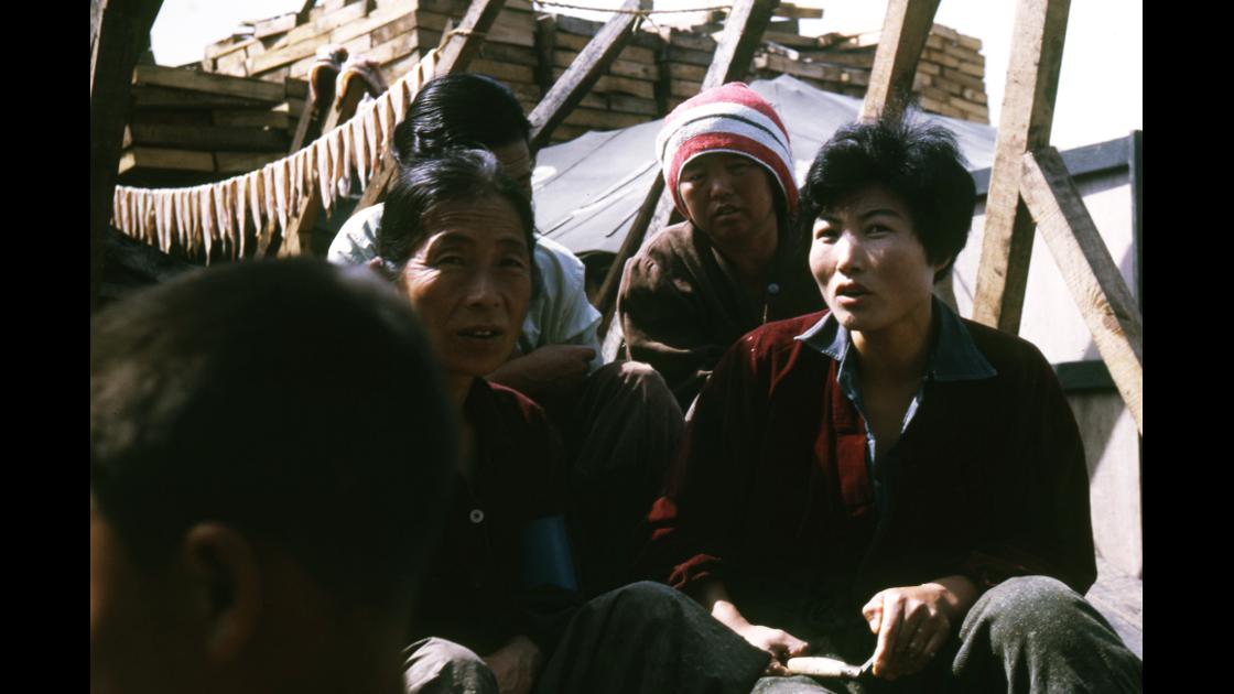 1968년 부산 자갈치시장의 생선정리를 담당하는 여성들 썸네일