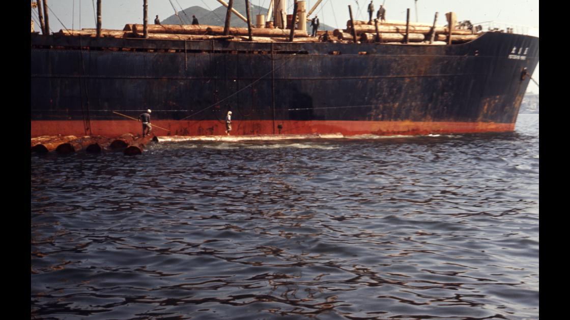 1968년 수입 원목을 화물선으로부터 하역하는 1968년 부산항 용당포 앞바다 모습_2 썸네일