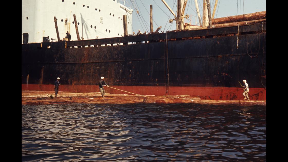 1968년 수입 원목을 화물선으로부터 하역하는 1968년 부산항 용당포 앞바다 모습_3 썸네일