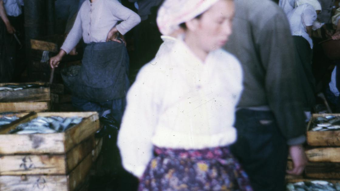 1968년 자갈치시장 청어 경매 준비 모습 썸네일