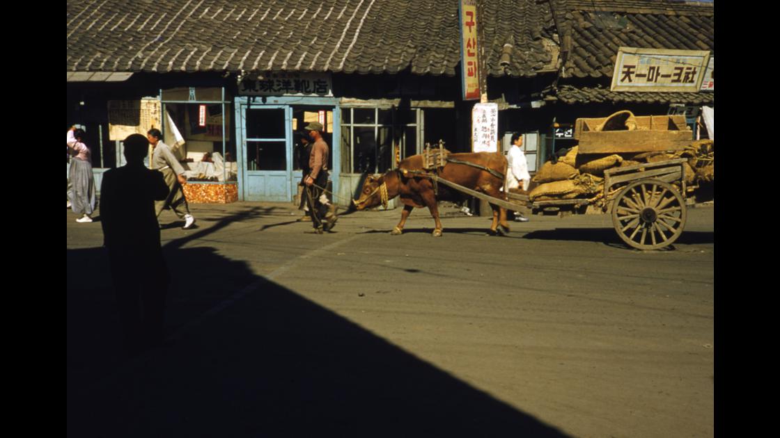 1952년 부산 중구 부평시장 천일마크사 앞을 지나는 쌀을 실은 소구루마 썸네일