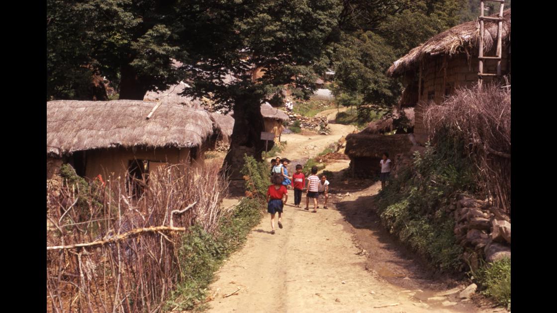 1973년 10월 충북 괴산 산골마을 아이들 썸네일