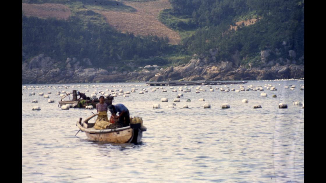1978년 통영 해안 양식장 사이 통발어선과 가족 썸네일