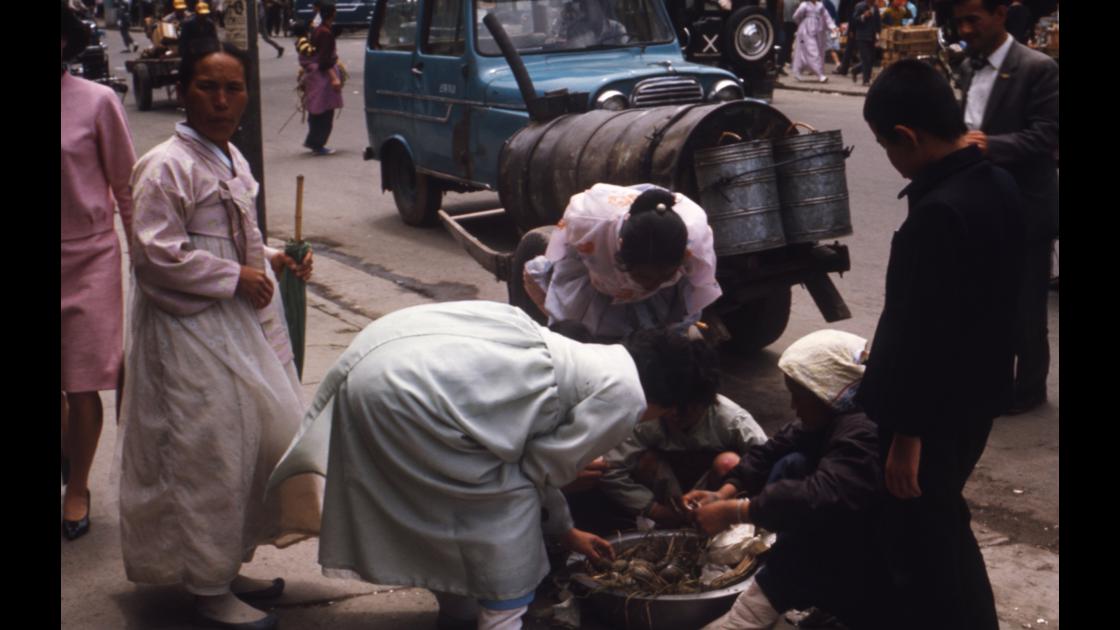 1966년 부산 중구 남포동 자갈치 도로변의 청둥오리 알 노점상과 물 배달 구루마 썸네일