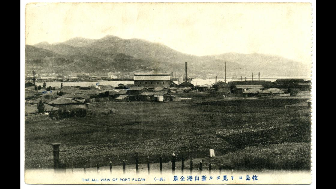1910년대 부산 영도구 봉래동 해안에서 본 부산항 썸네일
