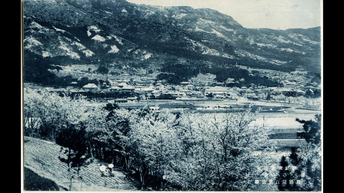 1930년대 부산 동래구 온천장 주변의 벚꽃 풍경 썸네일