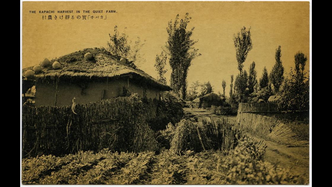 1920년대 초가 지붕 위로 박이 열린 농가 썸네일