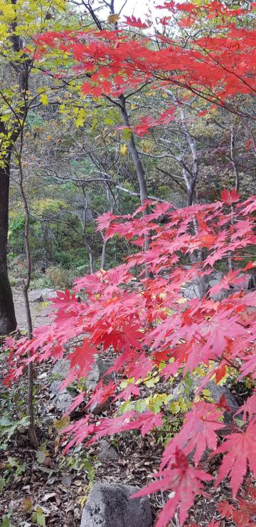 가을 한국 풍경5 썸네일