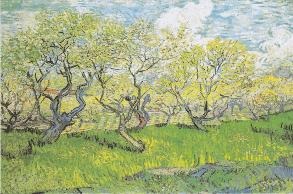 Orchard with Blossoming Plum Trees 썸네일