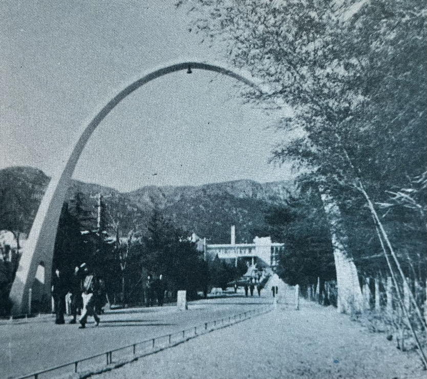 1971년_부산대학교 썸네일