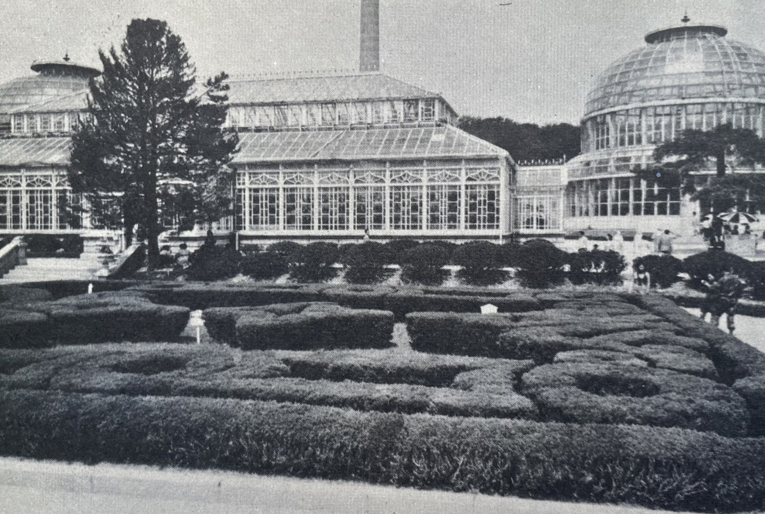 1971년_창경원 식물원 썸네일