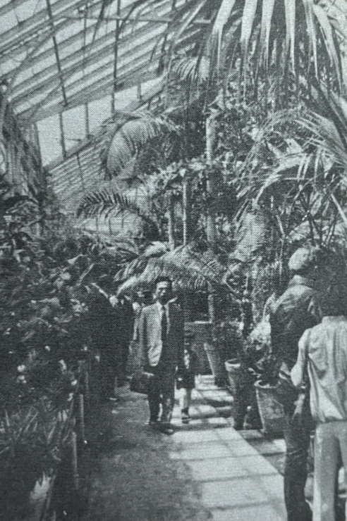 1971년_서울 창경원 식물원 썸네일