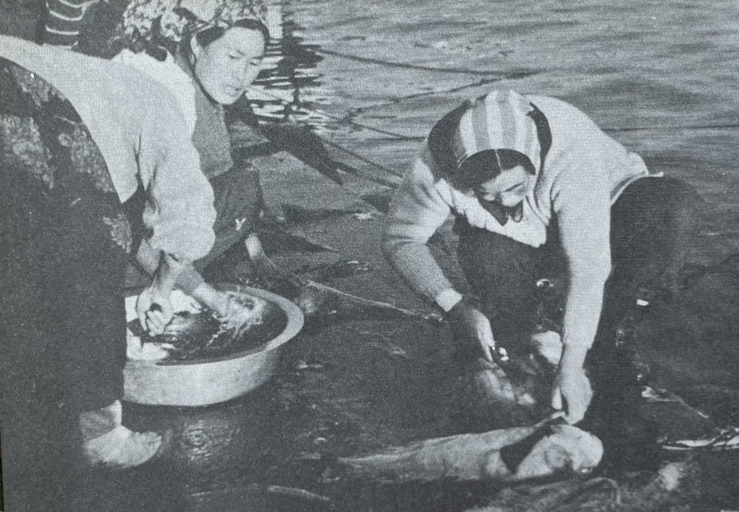 1971년_주문진 항구 생선 썸네일