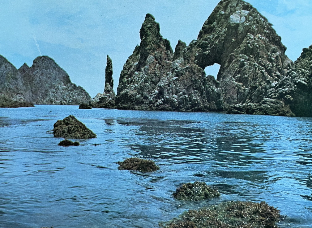 1971년_홍도 촛대바위 바다 썸네일