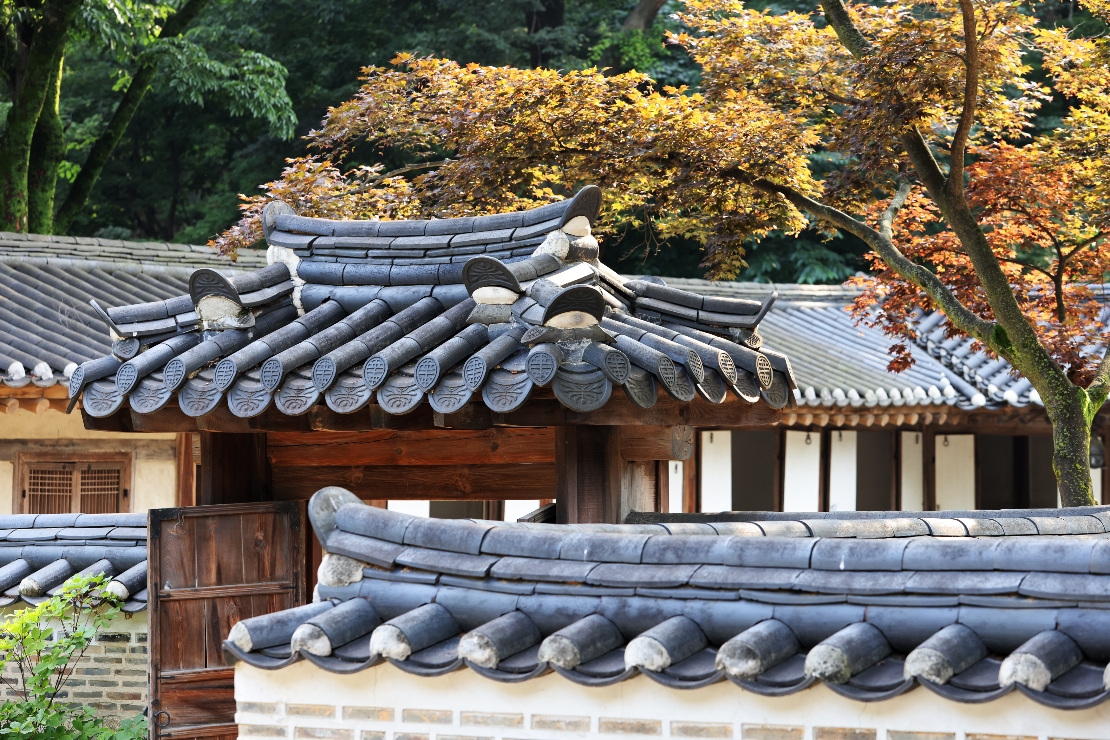 한국 문화유산(창덕궁 후원) 썸네일