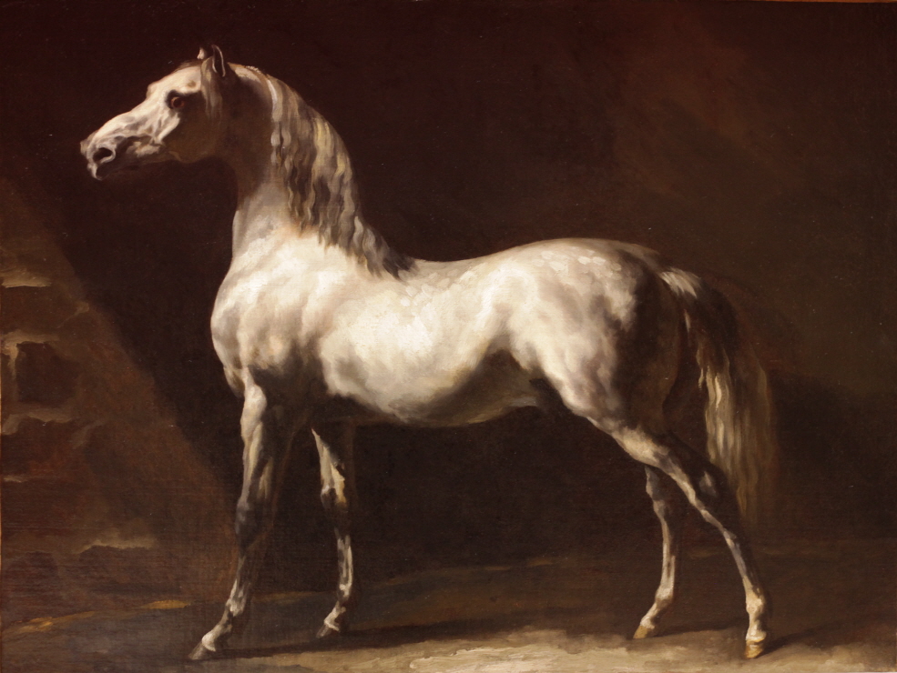Gray Horse 썸네일