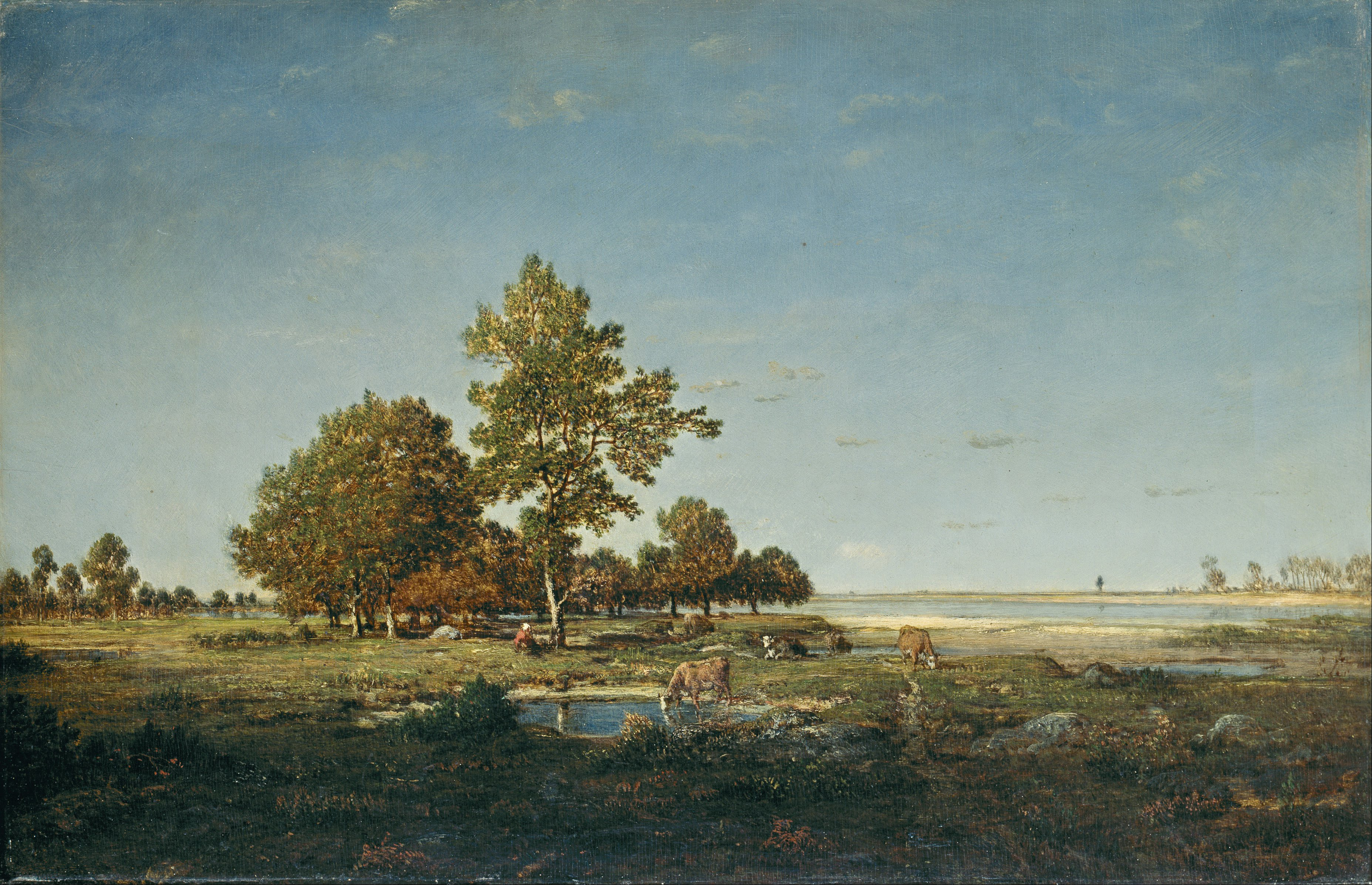 0508_Theodore Rousseau_Landscape with a clump of trees 썸네일
