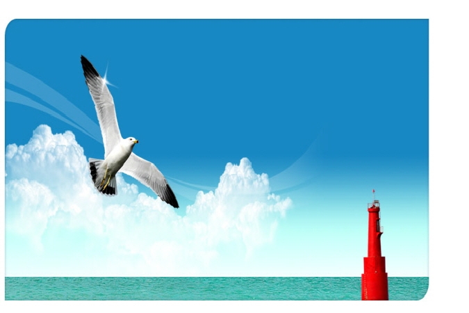 새와 바다 이미지01(쉬운 편집) 썸네일